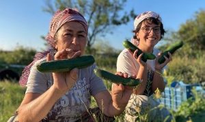 Buğday Derneği; Soframıza gelen zehirlerden 6’sı daha yasaklandı