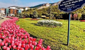 Muğla Büyükşehir Yeşil Alan Miktarını İl genelinde Yüzde 92 Arttırdı