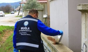 Büyükşehir Can dostlar İçin Mama Üretiyor, Tasarruf Sağlıyor