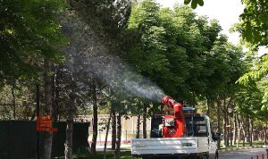 Çankaya Belediyesi’nden Yaz Aylarına Özel İlaçlama