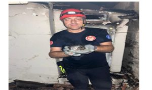 Büyükşehir yangın bölgelerindeki tüm canlıların yardımına koştu