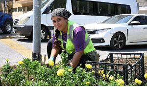 Başkan Çerçioğlu’ndan Didim’de çevre ve peyzaj düzenlemesi