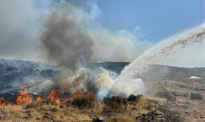 İzmir İtfaiyesi kentsel ve kırsal yangınlarla mücadele ediyor