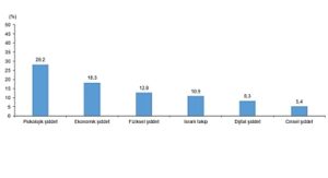 Türkiye Kadına Yönelik Şiddet Araştırması, 2024