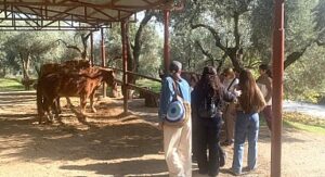 Narlıdere Belediyesi’nden Gönüllülere Teşekkür