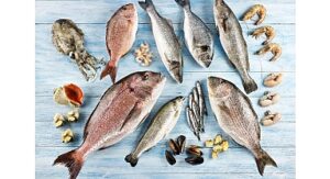 Su ürünleri ve hayvansal mamuller ihracatının yüzde 47’si Ege Bölgesi’nden yapıldı