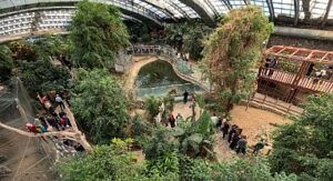 İzmir Doğal Yaşam Parkı’na ziyaretçi akını