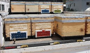 Antalya Büyükşehir’in arı kovanı destekleri sürüyor