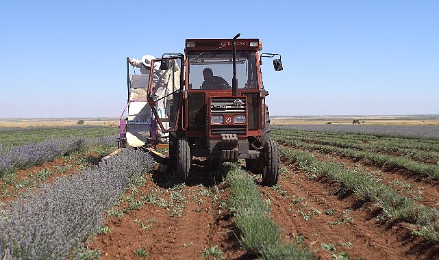 Başkan Altay: “Şehrimizin Kalkınmasına Katkı Sağlayan Çiftçimizin Yanında Olmaya Devam Edeceğiz”
