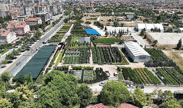 Başkan Altay Konya Ağaç A.Ş Satış Merkezi’nde İncelemelerde Bulundu