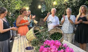 Pernod Ricard ve Bodrum Mandalin Hareketin’den Yeşil Bodrum Mandalini için İş Birliği