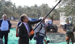 Başkan Arslan öğrencilerle zeytin hasadı yaptı