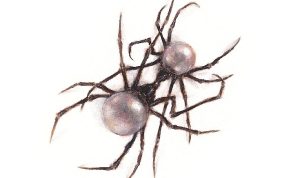 Muud’da Yerli ve Yabancı Sanatçılarda İlk 10 Belirlendi