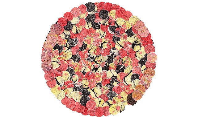 Çağdaş Ebru Sanatçısı ve TOÇEV Kurucusu Ebru Uygun, TOÇEV’in 30. Yılını Kişisel Sergisi “Metanoya” ile Onurlandırıyor