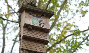 Ormanya “Tür Say!” etkinliğinde 494 gözlem