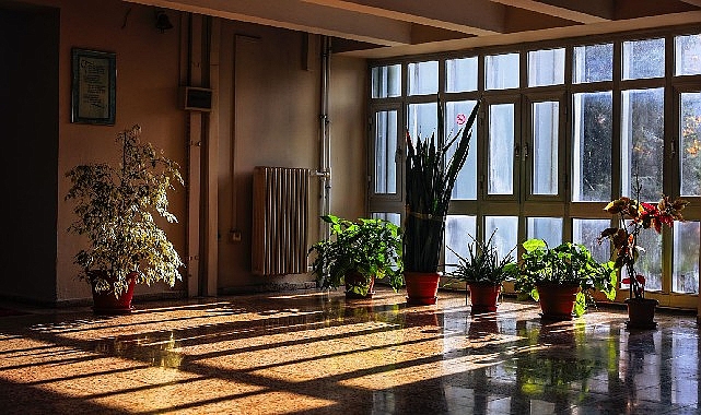 Deü’den yeşil başarı: karbon ayak izi en düşük üniversite