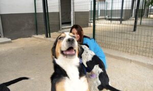 Mersin Yenişehir Belediyesi sokak hayvanları için 15 bin metrekarelik bakımevi oluşturdu