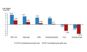 Tüik: Aylık en yüksek reel getiri BIST 100 endeksinde oldu
