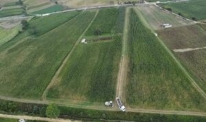 Kocaeli’de mısır hasadı mesaisi sürüyor; 37 bin dekar mısır tarlası tarıma kazandırıldı