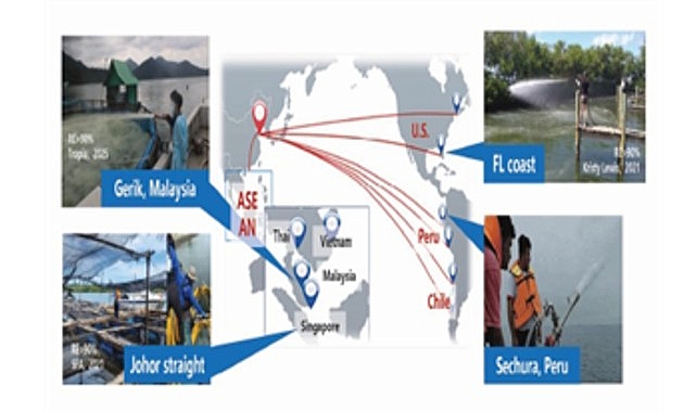 Çinli bilim insanı Dr. Yuan’dan İzmir Körfezi için önemli mesajlar:  “Körfez modifiye kil yöntemiyle nefes alacak”