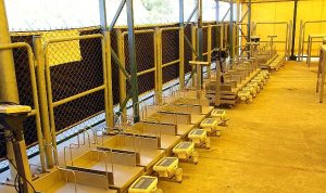 İBB bayram hazırlıklarını tamamladı