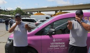 İBB boğa timi görev başında