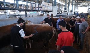 İnegöl Modern Hayvan Pazarı Beşinci Kez Bayram Sevinci Yaşattı