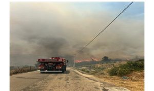 Karaburun’da yangın alarmı