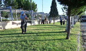 Salihli Belediyesi Temizlik İşleri ile Park ve Bahçeler Müdürlüğü ekiplerimiz, Gümüşçayı ve Kurşunlu piknik alanlarını titizlikle temizleyerek pırıl pırıl hale getirdi.