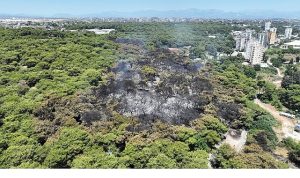 Antalya Büyükşehir Belediyesi İtfaiyesi alevlerle mücadelesini sürdürüyor