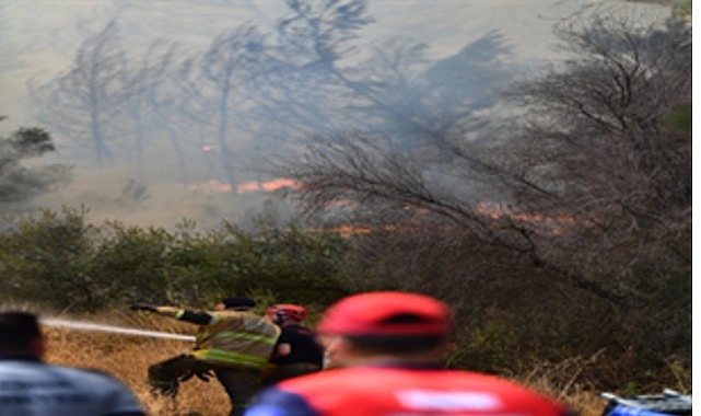 Bornova Gökdere’de yangınla mücadele sürüyor