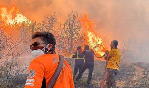 BUCAKUT yangınlarla mücadelede etkin rol alıyor