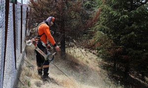 Çankaya, Kent Sağlığı ve Güvenliği İçin Sahada