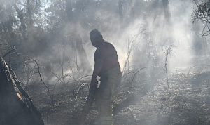 İBB, İzmir’in yardımına koştu