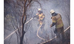 İZPA İzmir’in orman yangını risk haritasını oluşturdu