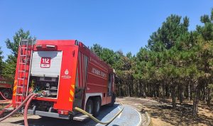 Kent Ormanı Yangını Kısmen Kontrol Altında