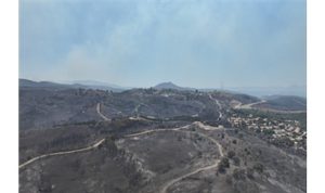 Seferihisar ve Menderes yangınlarının bilançosu ağır