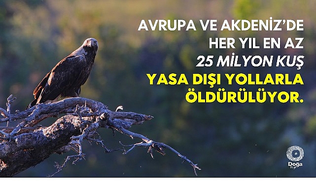 “The Killing 3.0” Raporu’na Göre Kuşların Yasa Dışı Öldürülmesi Artıyor.
