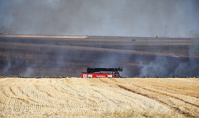 3 günde 70 hektarlık alan kül oldu