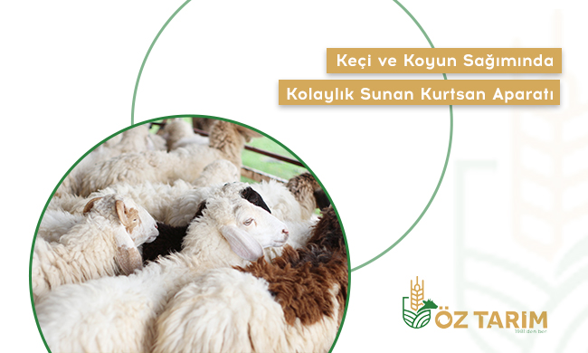 Keçi ve Koyun Sağımında Kolaylık Sunan Kurtsan Aparatı