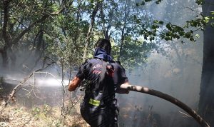 Büyükşehir, Karamürsel yangını için seferberlik ilan etti