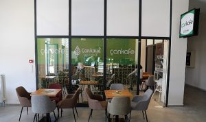 Ekonomik “Çankafe” sayısı artıyor