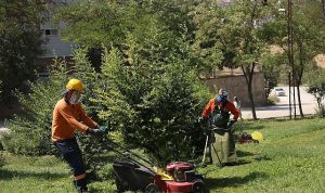 Yeşil Bir Çankaya İçin Parklarda Bakım Yapılıyor