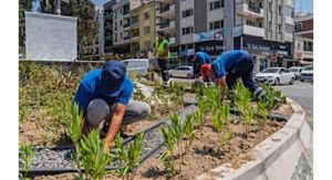 Kavşaklara estetik ve sürdürülebilir dokunuş
