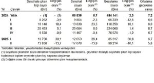 Hanehalkı Yurt İçi Turizm, II. Çeyrek: Nisan-Haziran 2025