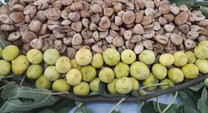 Türk kuru incir ihracatçılarından Avrupa Birliği’ne; “Kuru incirde ev ödevimizi yapıyoruz” mesajı