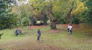 Darıca Millet Bahçesi’nde temizlik seferberliği