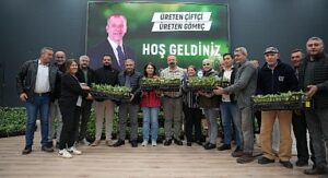 Gömeç Belediyesinden enginar fidanı dağıtım töreni