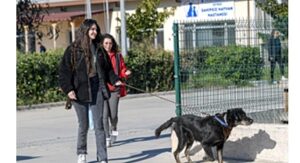 İzmirli hayvansever Çörekçi’nin emanetlerine İzmir Büyükşehir Belediyesi sahip çıktı