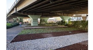 80 futbol sahası büyüklüğündeki alanda dönüşüm tamam